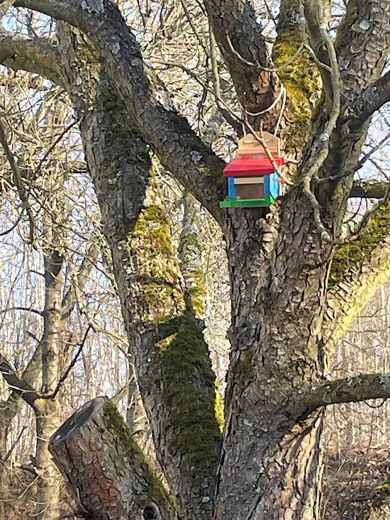 Vogelhaus im Kastanienbaum
